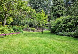 Optimiser l'expérience du jardin à Lucy-sur-Yonne